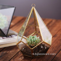Hot Selling Diamantvorm Glas Planten Terrarium Geometrisch